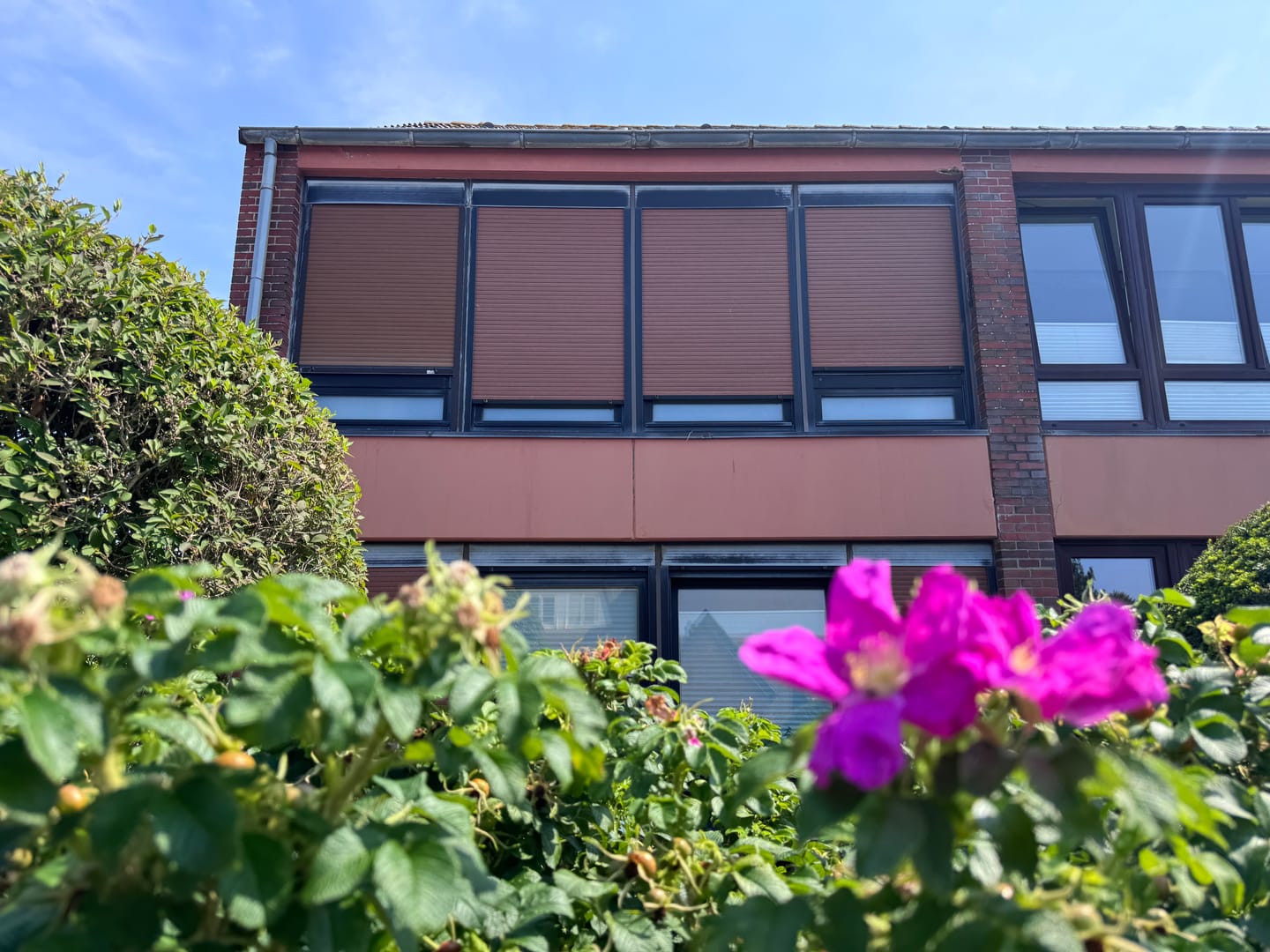 Die Fassade aus rotem Klinker mit dunklen Holzfenstern, davor blühende Kartoffelrosen vor blauem Himmel – so sieht Sylt aus, wenn die Sonne scheint.